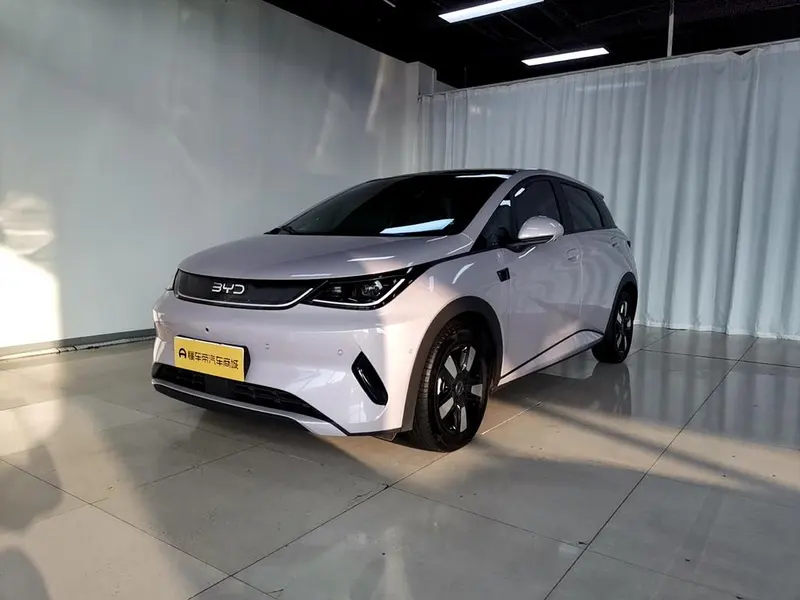 BYD Dolphin Smart Drive Edition 410KM Fashion Edition, 2025 — фото 1