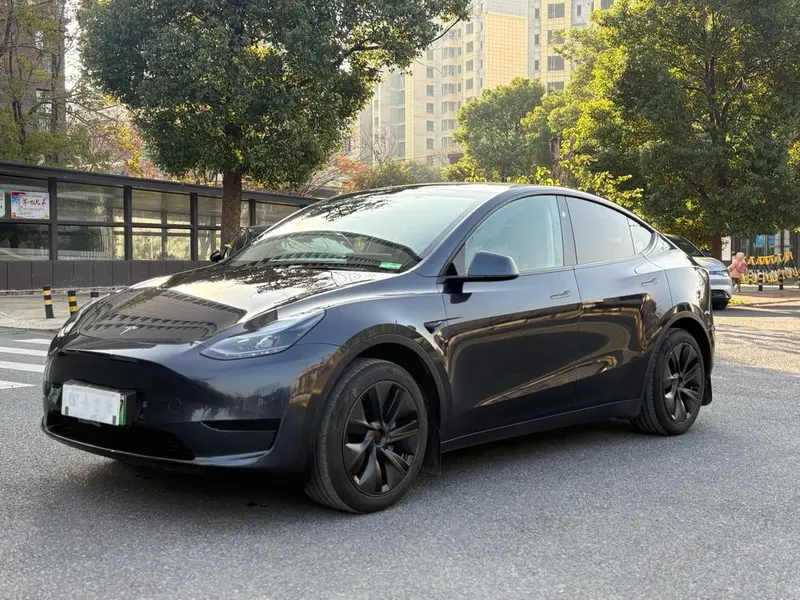 Tesla Model Y Edition, 2024 — фото 1