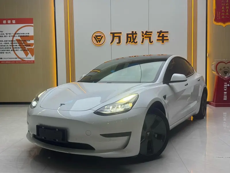 Tesla Model 3 Long Range Edition, 2020 — фото 1