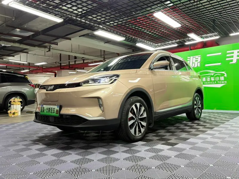 WM Motor Weltmeister EX5 EX5 520 Extra 创新 версия, 2019 — фото 1