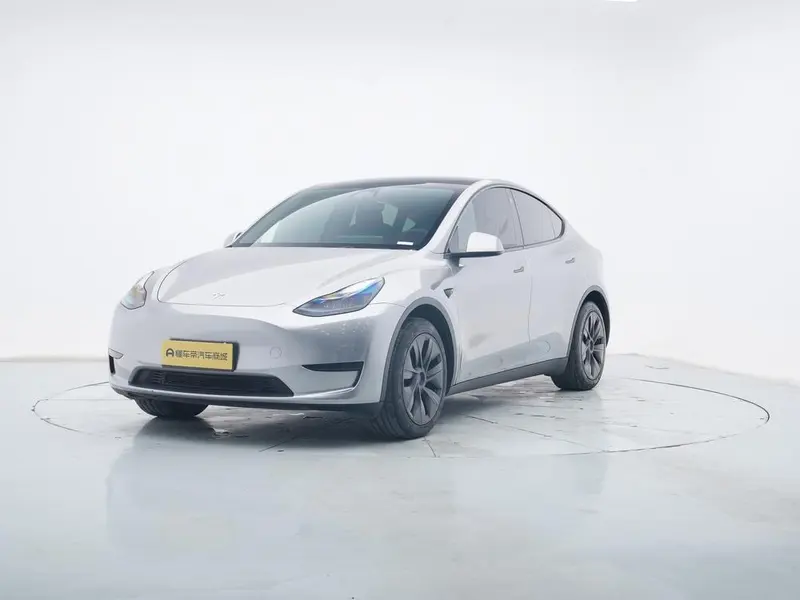 Tesla Model Y Edition, 2023 — фото 1