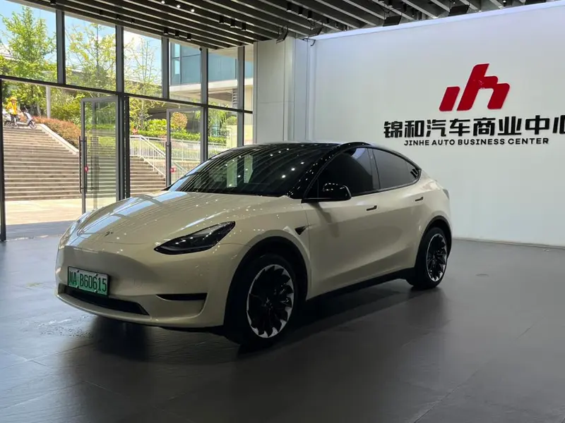 Tesla Model Y Edition, 2023 — фото 1