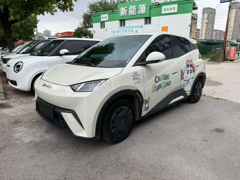 BYD Seagull Glory Edition 305KM Edition, 2024 — фото 1