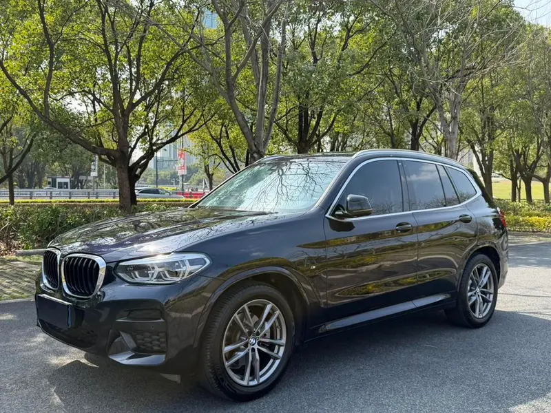 BMW X3 xDrive25i M Sport, 2020 — фото 1