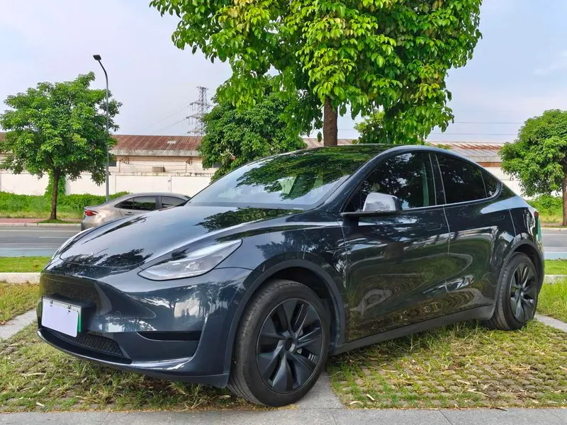 Tesla Model Y Edition, 2024 — фото 1
