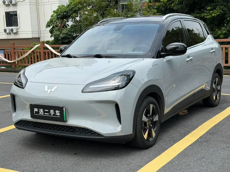 Wuling Bingo PLUS, 2024