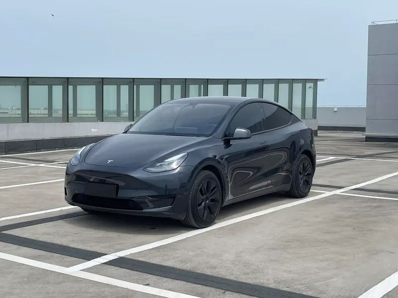 Tesla Model Y Edition, 2024 — фото 1