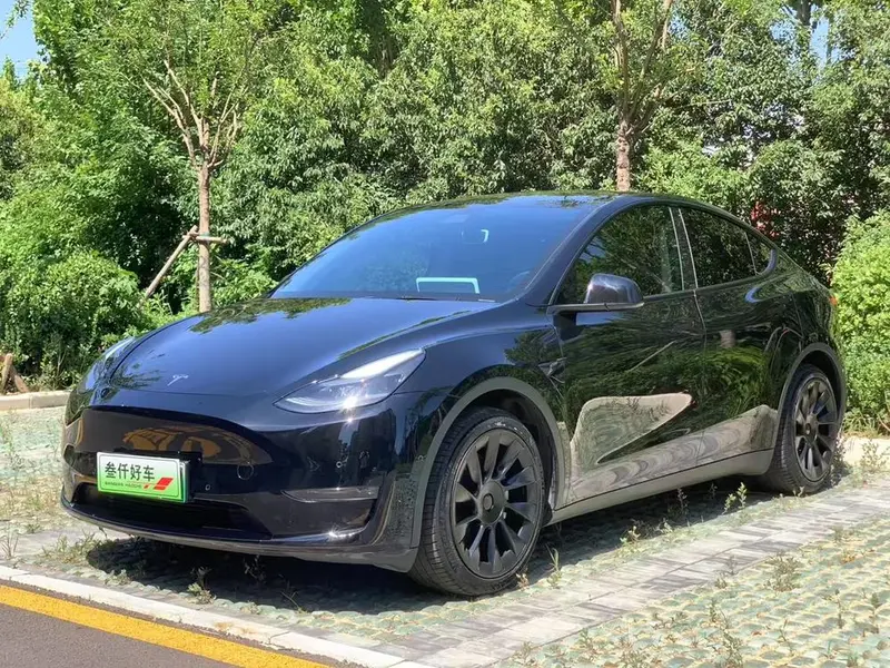 Tesla Model Y Standard Range Edition, 2021 — фото 1