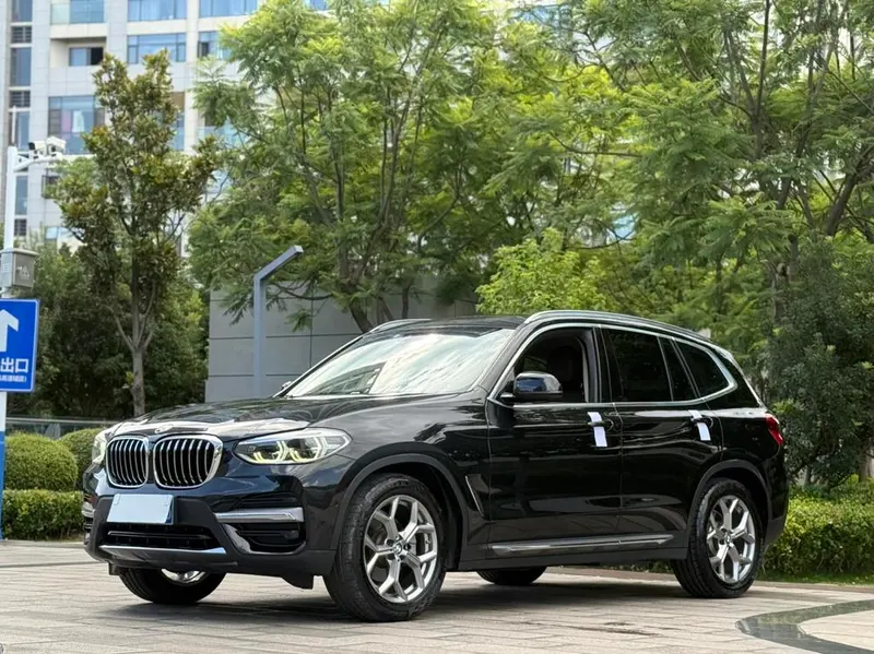 BMW X3 xDrive28i Luxury, 2019 — фото 1