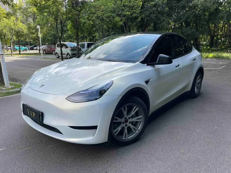 Tesla Model Y Edition, 2022 — фото 1