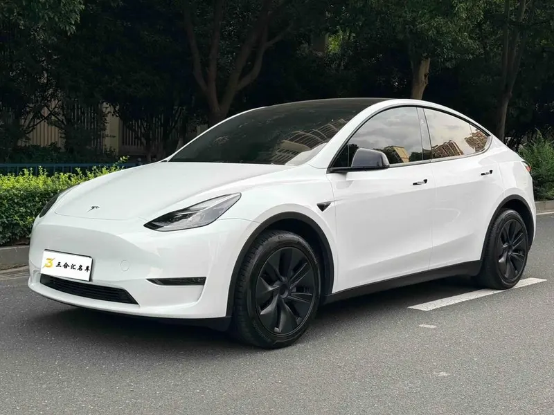 Tesla Model Y Long Range AWD Edition, 2024 — фото 1