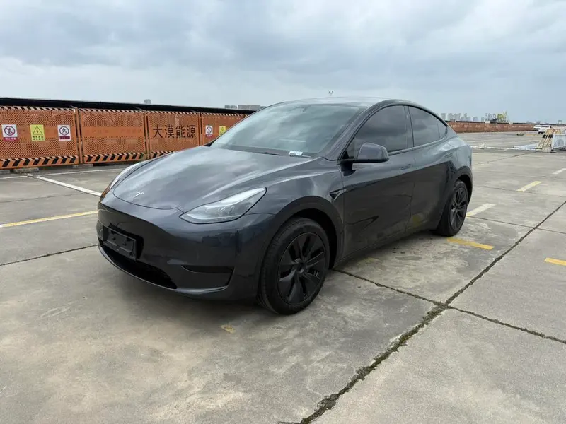 Tesla Model Y Edition, 2024 — фото 1