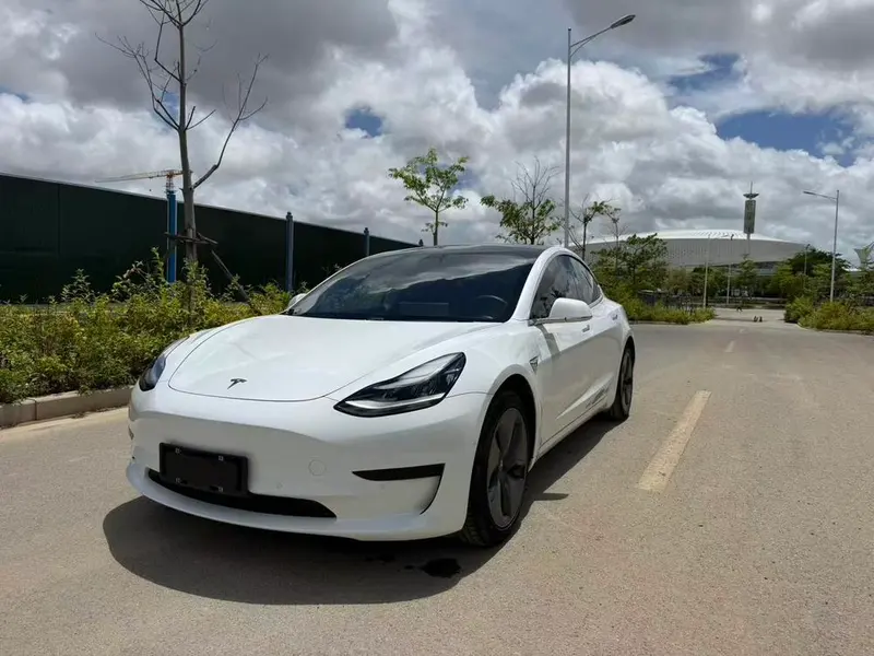 Tesla Model 3 Standard Range RWD Upgraded Edition, 2020 — фото 1