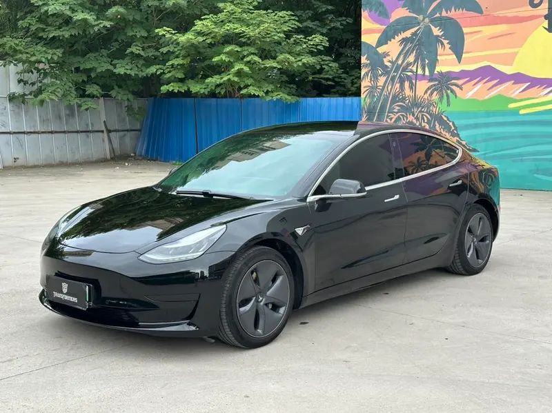 Tesla Model 3 Standard Range RWD Upgraded Edition 3D1, 2021 — фото 1