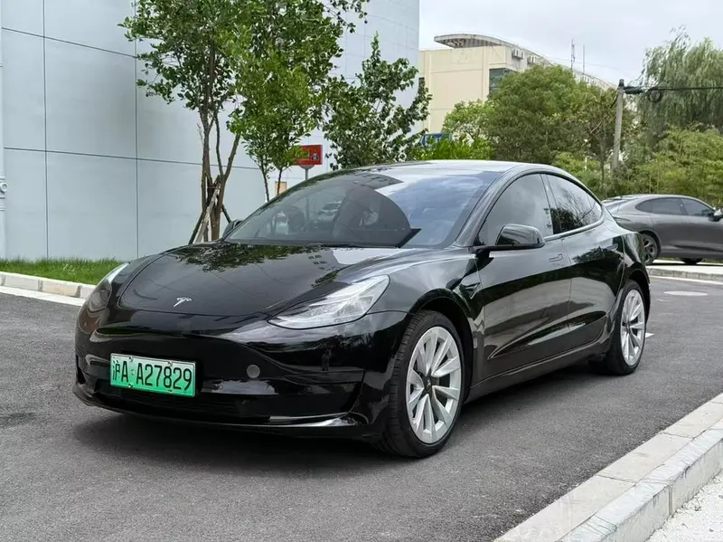 Tesla Model 3 Standard Range RWD Upgraded Edition 3D6, 2021 — фото 1