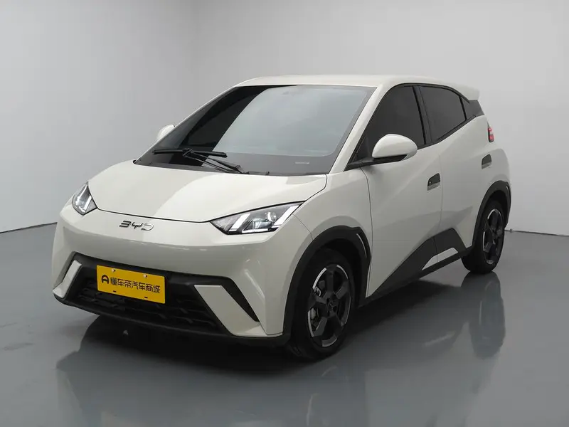 BYD Seagull, 2024
