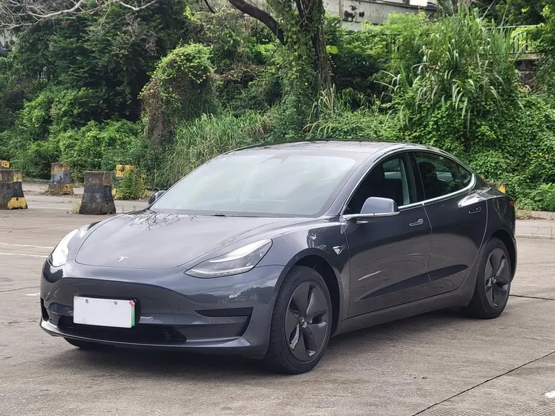 Tesla Model 3 Standard Range RWD Upgraded Edition, 2020 — фото 1