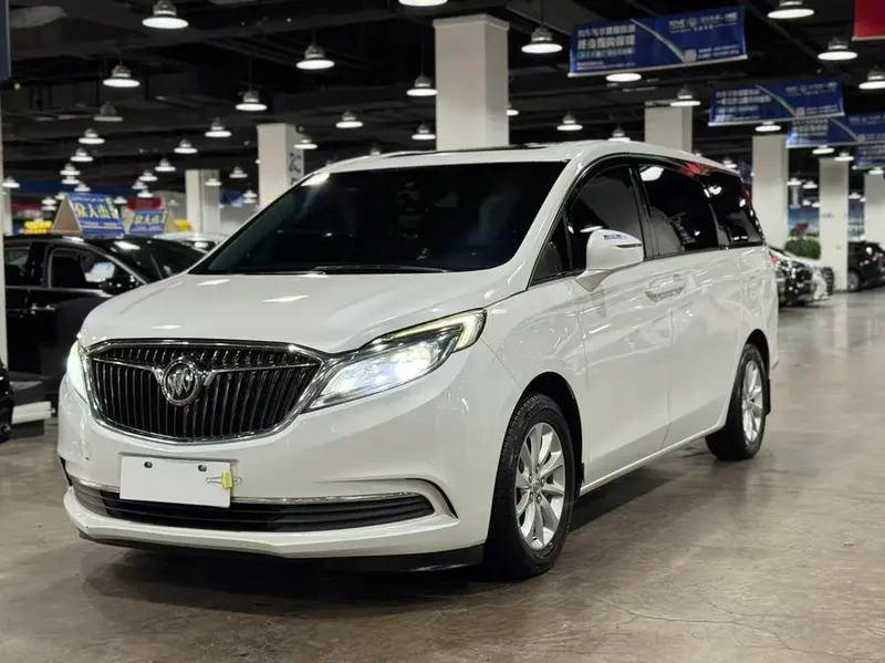 Buick GL8 ES 28T Comfort Version CN5, 2017 — фото 1