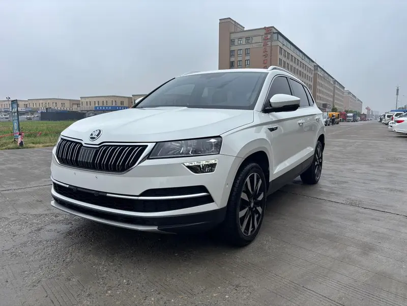 Skoda Karoq, 2019