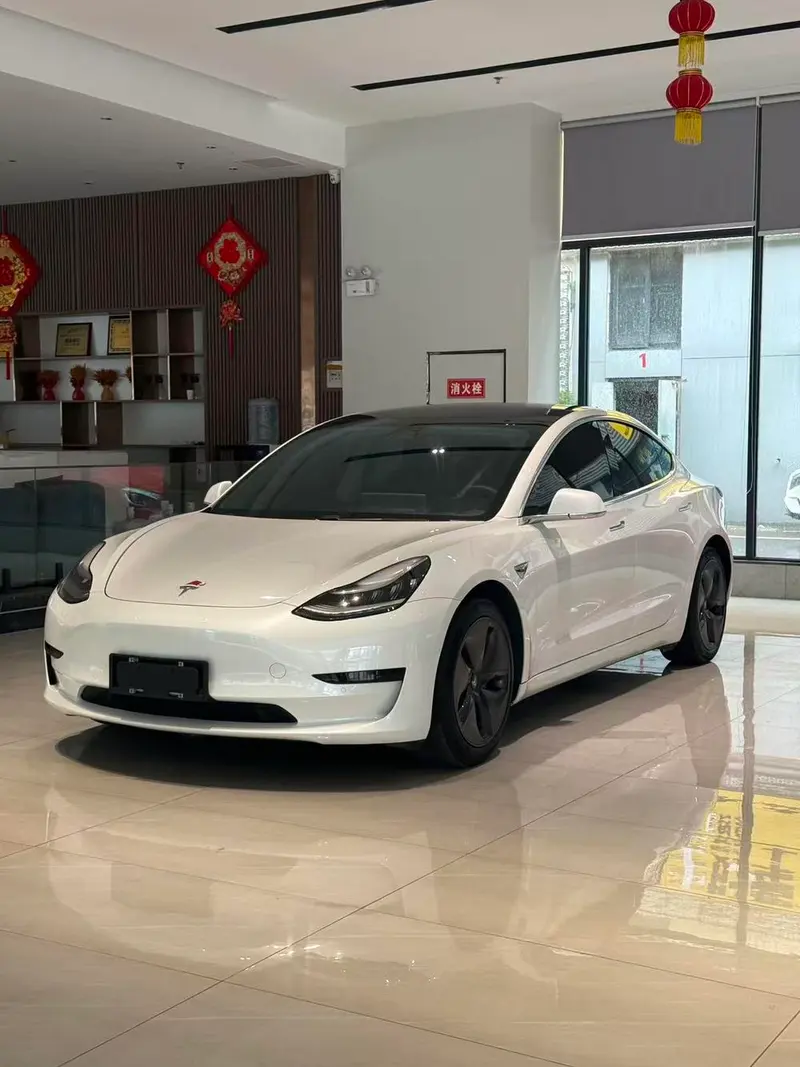 Tesla Model 3 Standard Range RWD Upgraded Edition, 2019 — фото 1