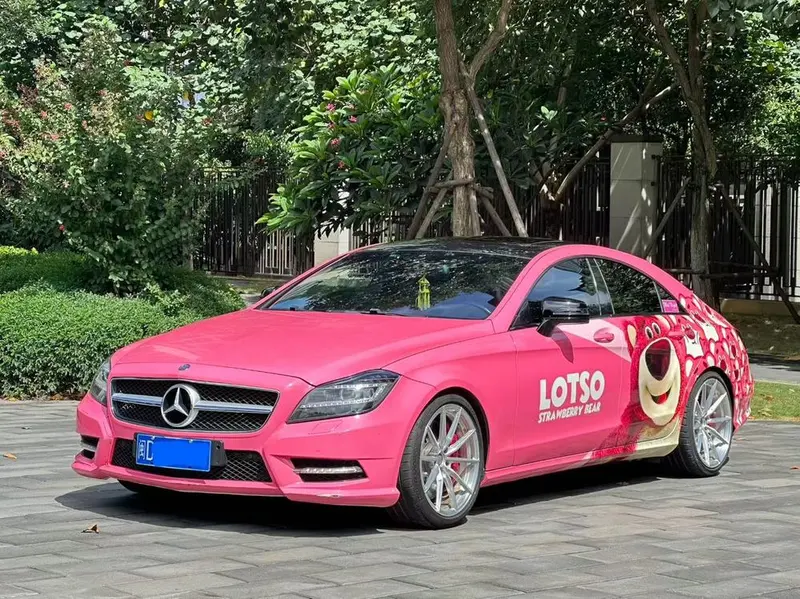 Mercedes-Benz CLS CLS 300 CGI, 2012 — фото 1