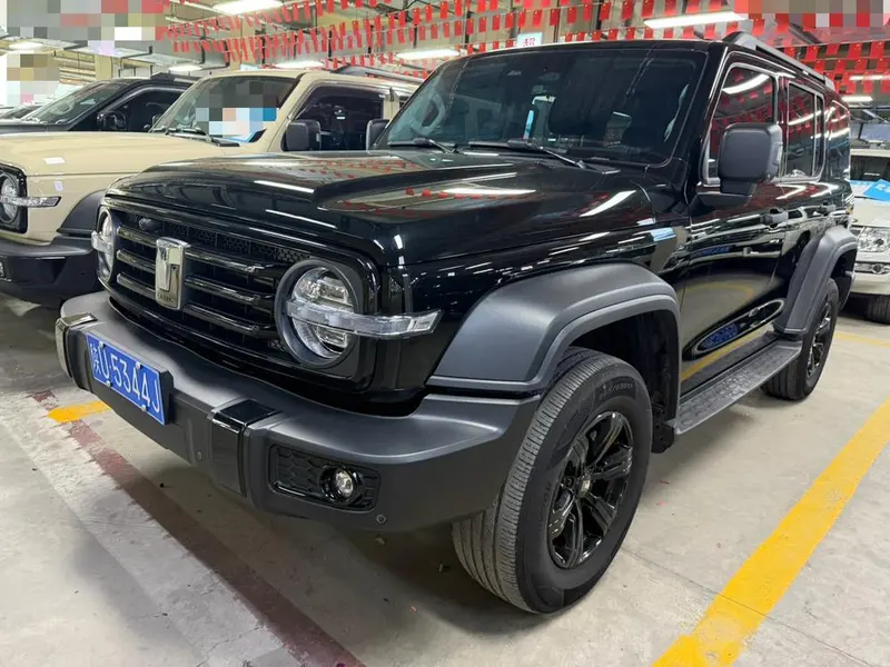 Tank 300, 2021