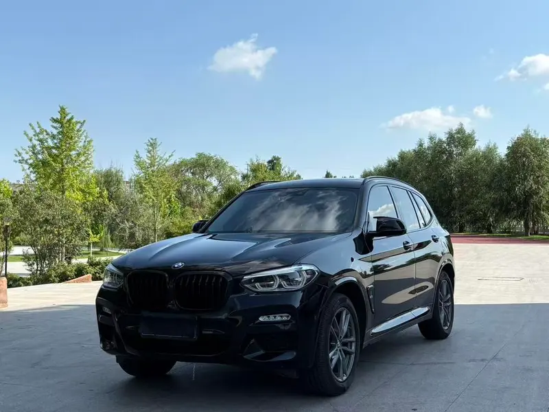 BMW X3 xDrive30i Leading Version M Sport CN6, 2018 — фото 1