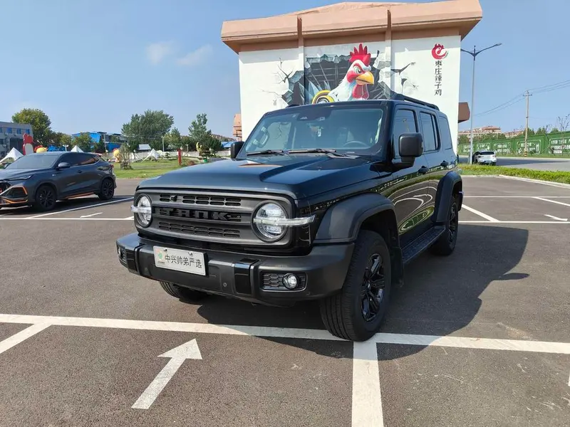 Tank 300, 2021