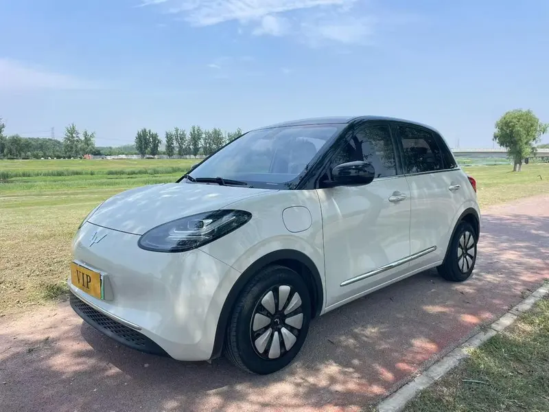 Wuling Bingo, 2023