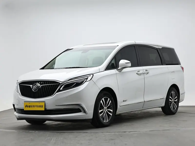 Buick GL8 ES 28T Luxury Version CN5, 2017 — фото 1
