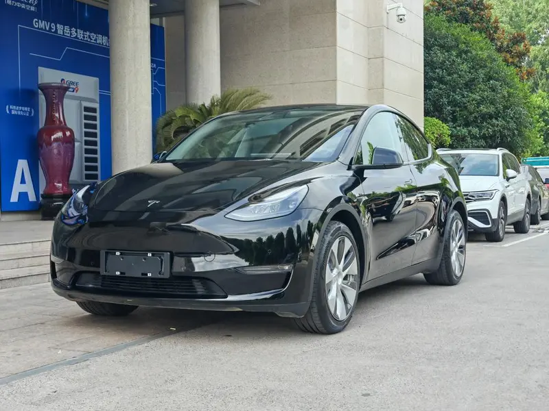 Tesla Model Y Standard Range Edition, 2021 — фото 1