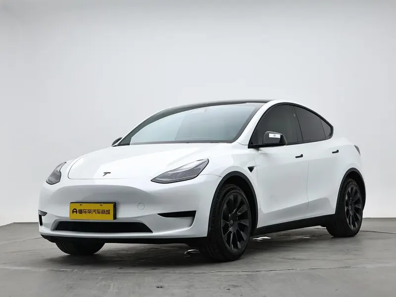 Tesla Model Y Edition, 2024 — фото 1