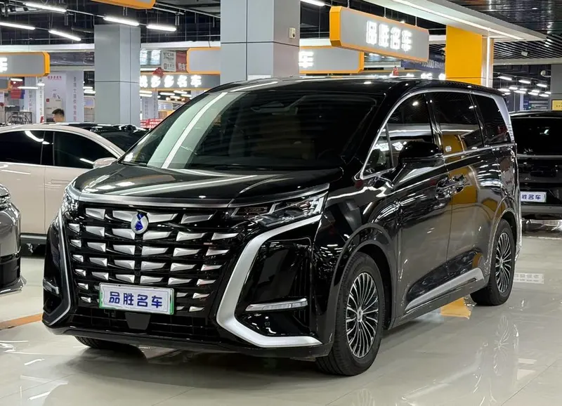 Denza D9 DM, 2024