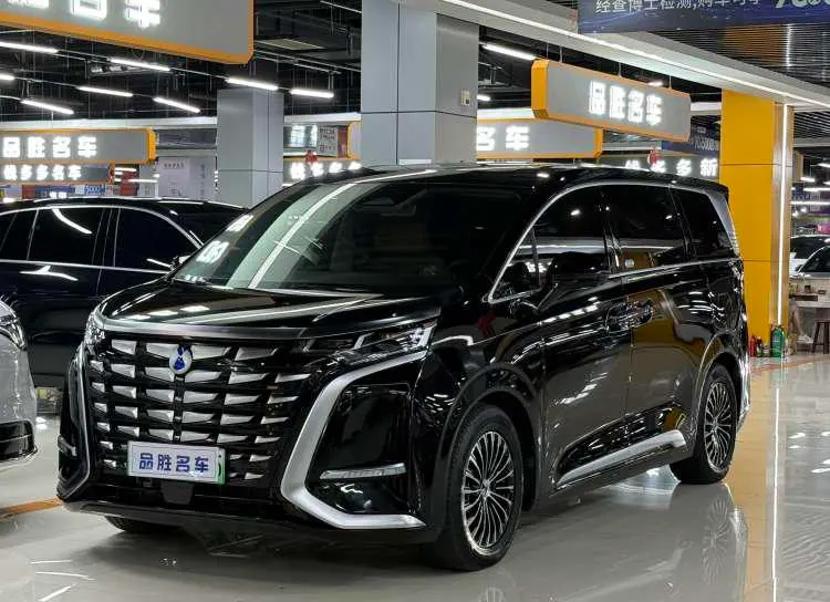 Denza D9 DM, 2024