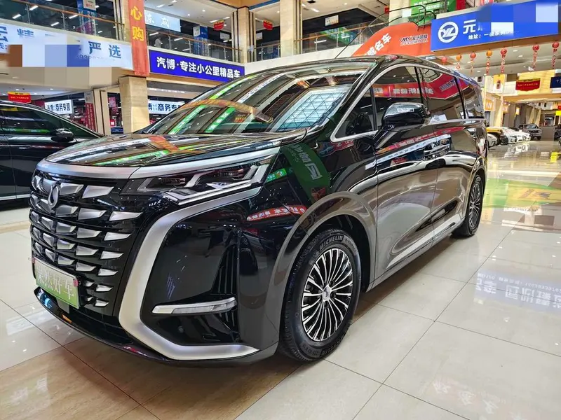 Denza D9 DM, 2024