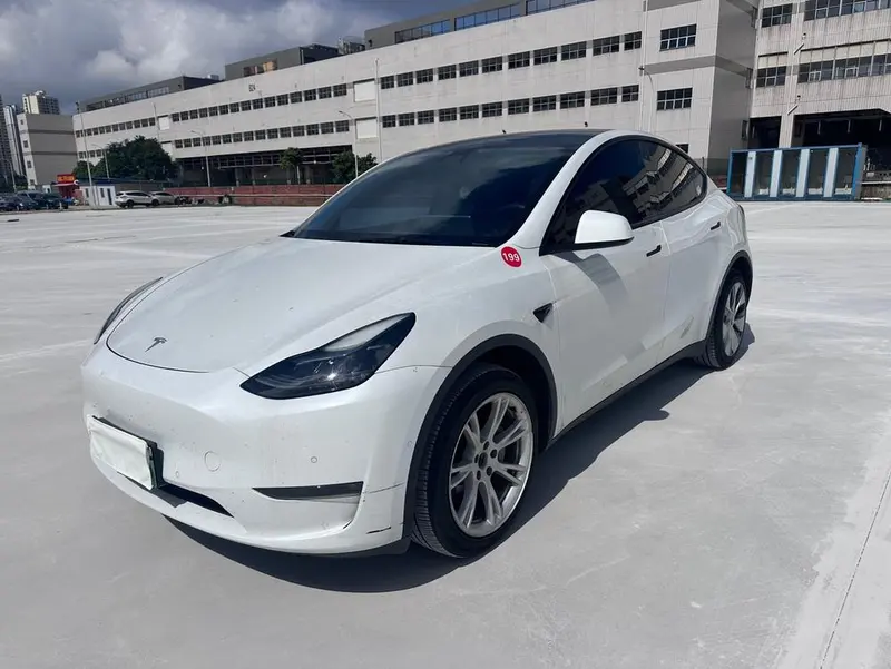 Tesla Model Y Long Range AWD Edition, 2021 — фото 1