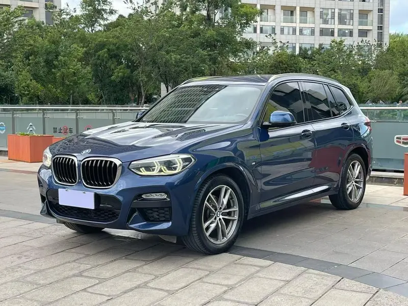 BMW X3 xDrive30i Leading Version M Sport CN6, 2018 — фото 1