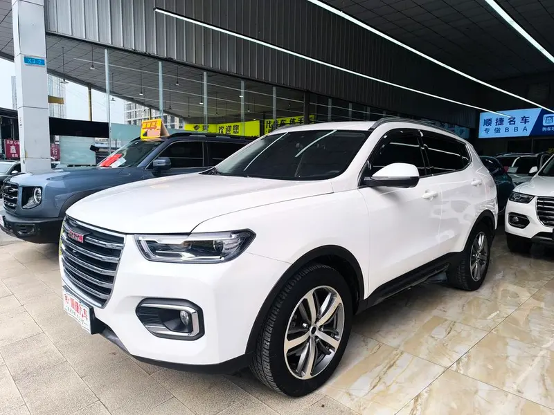 Haval H6, 2019