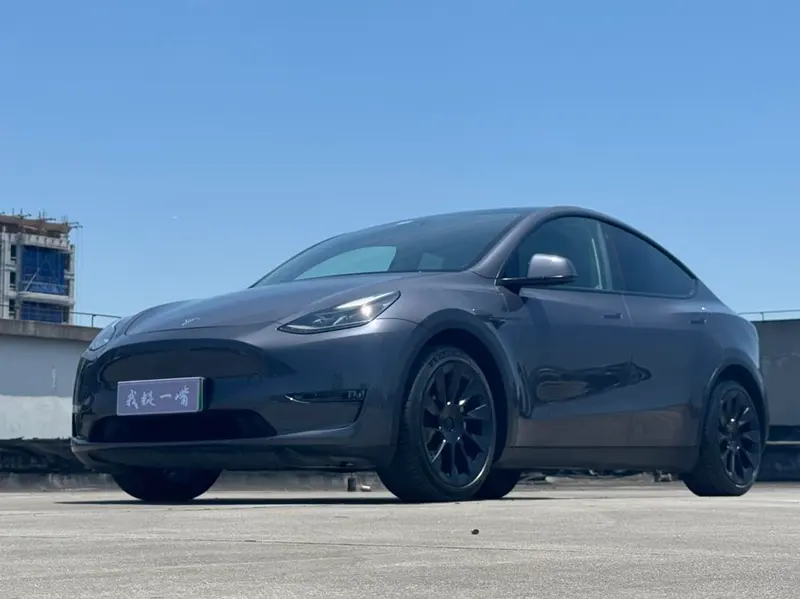Tesla Model Y Long Range AWD Edition, 2021 — фото 1