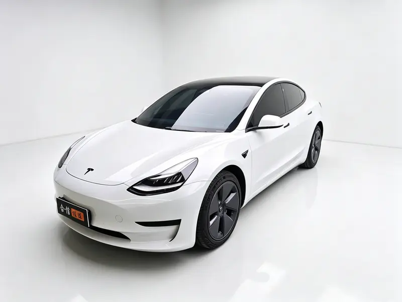 Tesla Model 3 Standard Range RWD Upgraded Edition, 2020 — фото 1