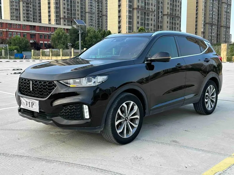 Wey VV6, 2020