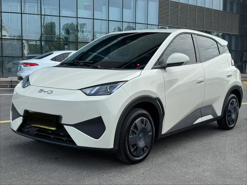 BYD Seagull, 2025