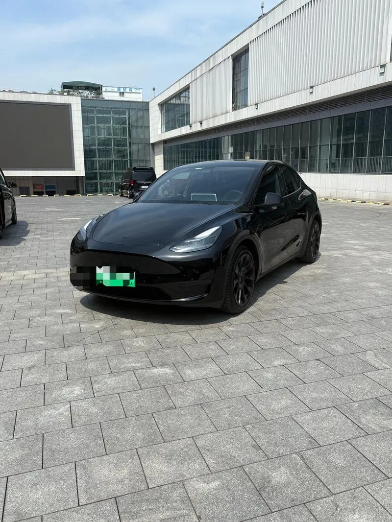 Tesla Model Y Long Range AWD Edition, 2021 — фото 1