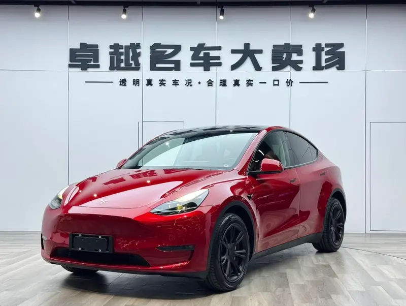 Tesla Model Y Long Range AWD Edition, 2021 — фото 1