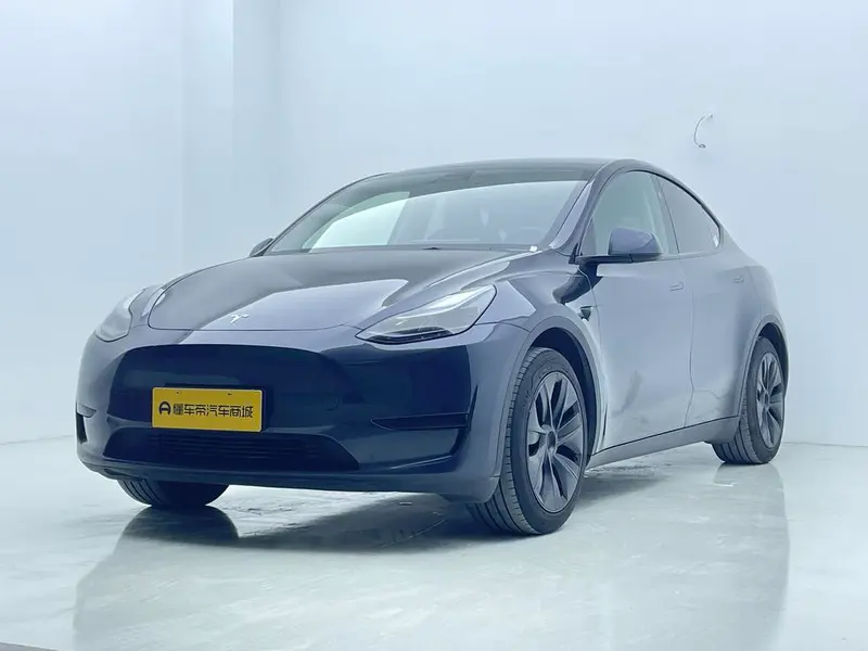 Tesla Model Y Edition, 2024 — фото 1