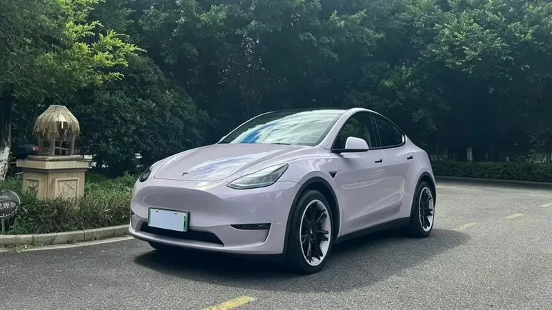 Tesla Model Y Standard Range Edition, 2021 — фото 1