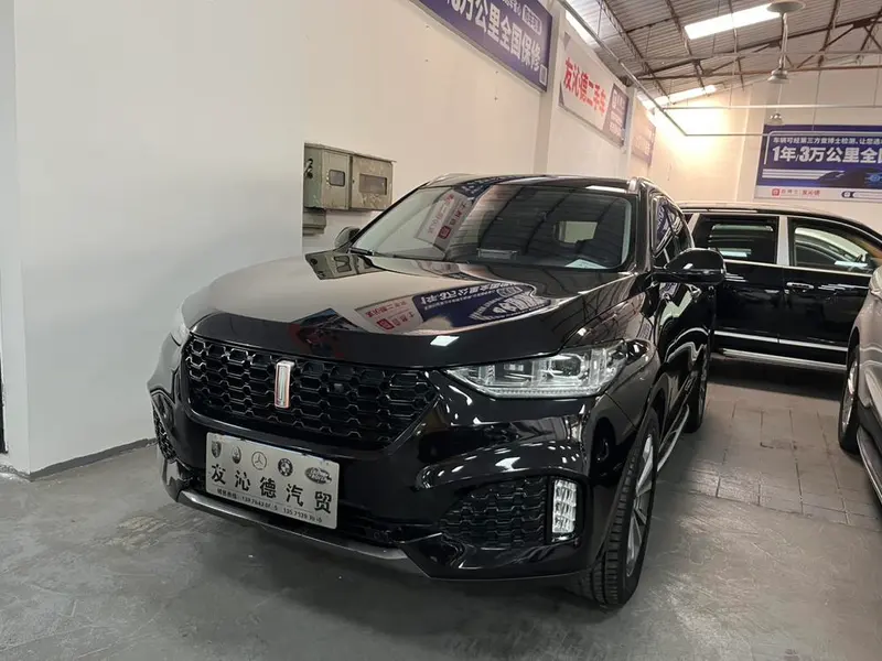 Wey VV6, 2018