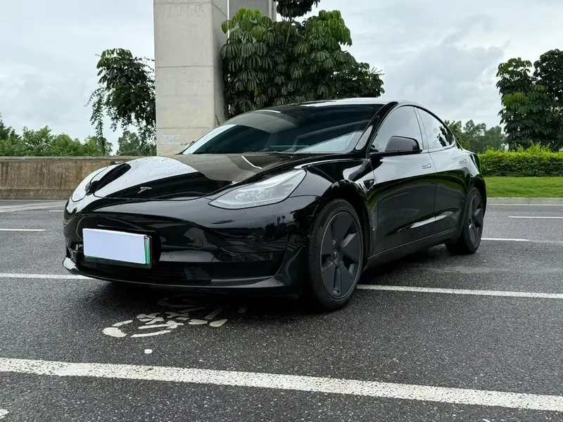 Tesla Model 3 Edition, 2022 — фото 1