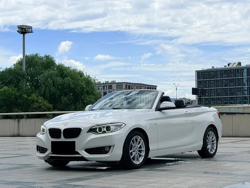 BMW 2-Series (Import), 2015