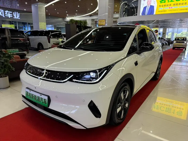 BYD Dolphin Smart Drive Edition 410KM Fashion Edition, 2025 — фото 1